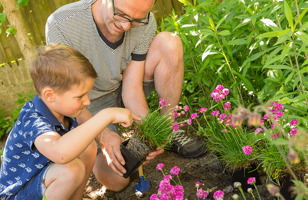 Kleines Insektenhotel auf Pfahl