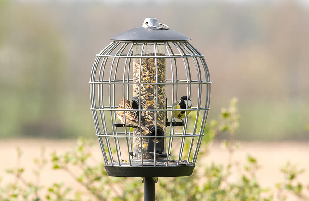 Apollo-Futtersäule mit Schutzkäfig - hier können nur kleine Gartenvögel an das Futter gelangen