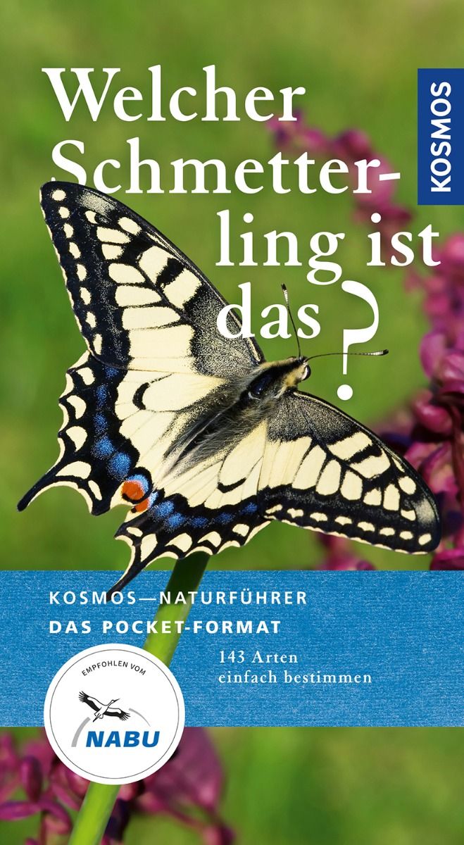 Welcher Schmetterling ist das? (Kosmos-Naturführer Basics)